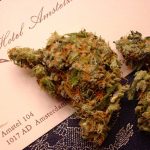Buying Weed Online: The Do’s and Don’ts
