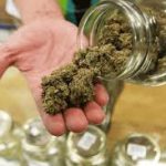 Dispensary Near Me with Online Ordering & Canada-Wide Delivery