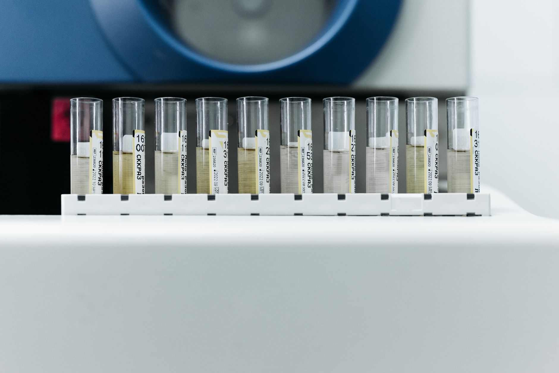 test tubes filled with liquid samples in a laboratory